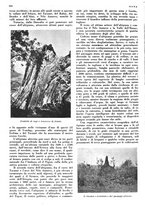 giornale/LO10010767/1936/unico/00000948