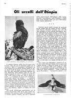 giornale/LO10010767/1936/unico/00000960