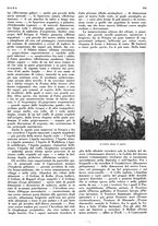 giornale/LO10010767/1936/unico/00000961