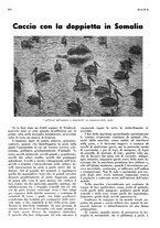 giornale/LO10010767/1936/unico/00000968