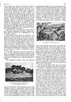 giornale/LO10010767/1936/unico/00000969