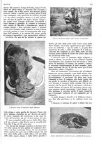 giornale/LO10010767/1936/unico/00000985