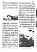 giornale/LO10010767/1936/unico/00001044