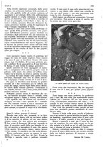 giornale/LO10010767/1936/unico/00001101