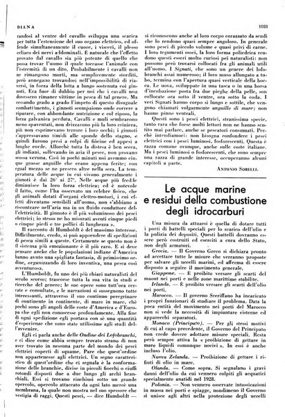 Diana rivista venatoria quindicinale