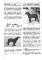 giornale/LO10010767/1936/unico/00001114