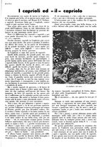 giornale/LO10010767/1936/unico/00001151