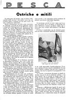 giornale/LO10010767/1936/unico/00001163