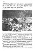 giornale/LO10010767/1937/unico/00000025