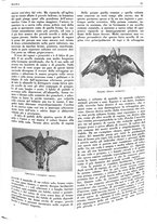 giornale/LO10010767/1937/unico/00000031
