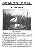 giornale/LO10010767/1937/unico/00000055