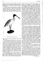 giornale/LO10010767/1937/unico/00000056