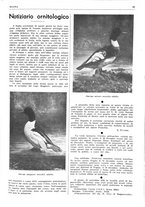 giornale/LO10010767/1937/unico/00000057