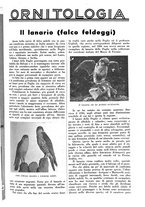 giornale/LO10010767/1937/unico/00000121