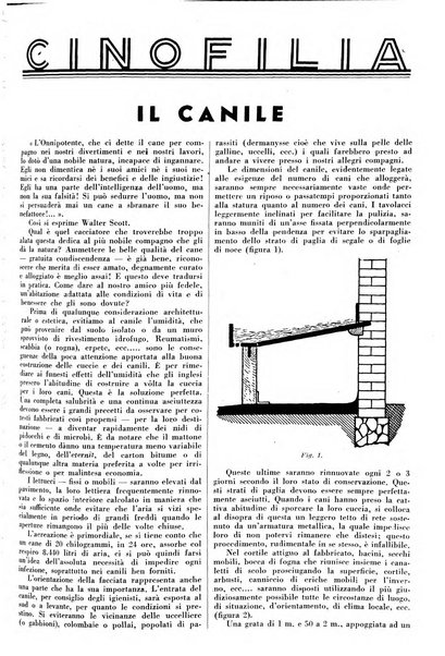 Diana rivista venatoria quindicinale