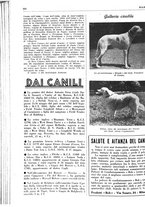 giornale/LO10010767/1937/unico/00000704