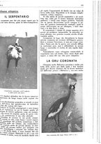 giornale/LO10010767/1937/unico/00000707