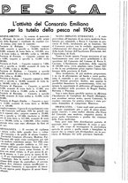 giornale/LO10010767/1937/unico/00000765