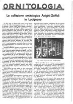 giornale/LO10010767/1937/unico/00000961