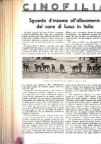 giornale/LO10010767/1937/unico/00001084