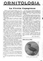 giornale/LO10010767/1937/unico/00001272