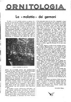 giornale/LO10010767/1937/unico/00001331