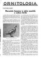 giornale/LO10010767/1937/unico/00001395