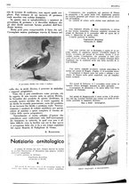 giornale/LO10010767/1937/unico/00001396