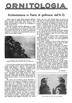 giornale/LO10010767/1938/unico/00000165