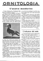 giornale/LO10010767/1938/unico/00000287