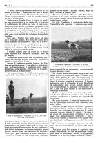 giornale/LO10010767/1938/unico/00000399