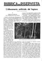 giornale/LO10010767/1938/unico/00000456