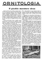 giornale/LO10010767/1938/unico/00000466