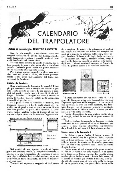 Diana rivista venatoria quindicinale