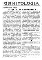 giornale/LO10010767/1938/unico/00000522