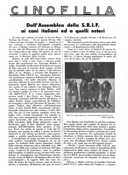 Diana rivista venatoria quindicinale