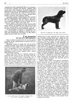 giornale/LO10010767/1938/unico/00000648