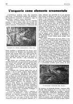 giornale/LO10010767/1938/unico/00000746