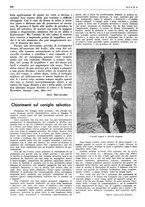 giornale/LO10010767/1938/unico/00000786