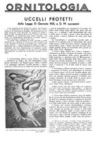 giornale/LO10010767/1938/unico/00000847