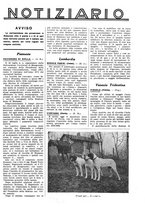 giornale/LO10010767/1938/unico/00000851