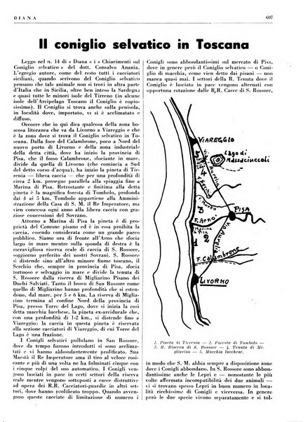 Diana rivista venatoria quindicinale