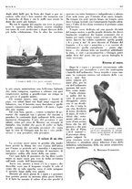 giornale/LO10010767/1938/unico/00000953