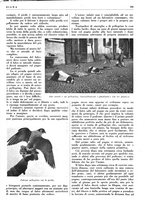 giornale/LO10010767/1938/unico/00000991