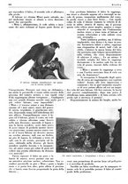 giornale/LO10010767/1938/unico/00000994