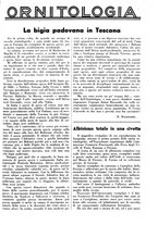 giornale/LO10010767/1938/unico/00001069