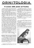 giornale/LO10010767/1938/unico/00001119