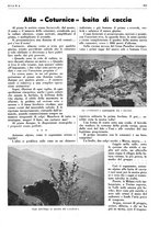 giornale/LO10010767/1938/unico/00001221