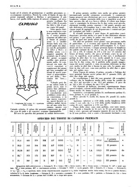 Diana rivista venatoria quindicinale