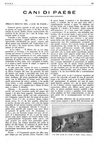 giornale/LO10010767/1938/unico/00001239